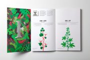 怎样通过广告印刷让企业画册更具立异性